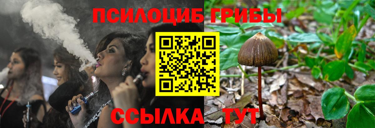 Новоалтайск  Галлюциногенные грибы мицелий  Вход с VPN 